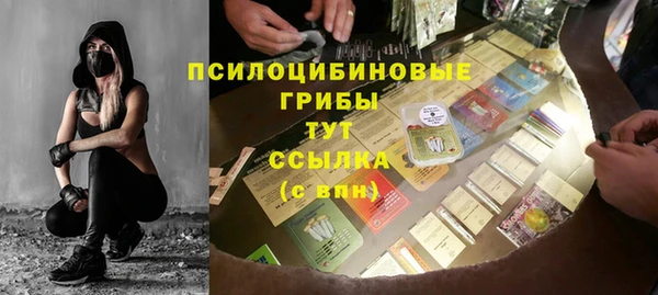 МДПВ Абаза