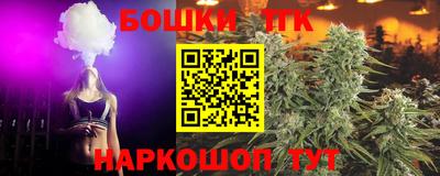 МДПВ Краснознаменск