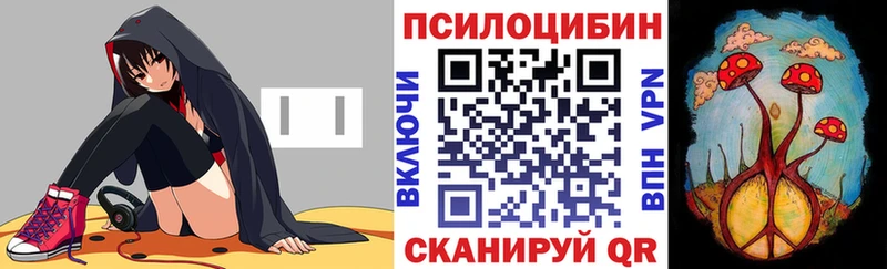 Галлюциногенные грибы Magic Shrooms  Елизово 