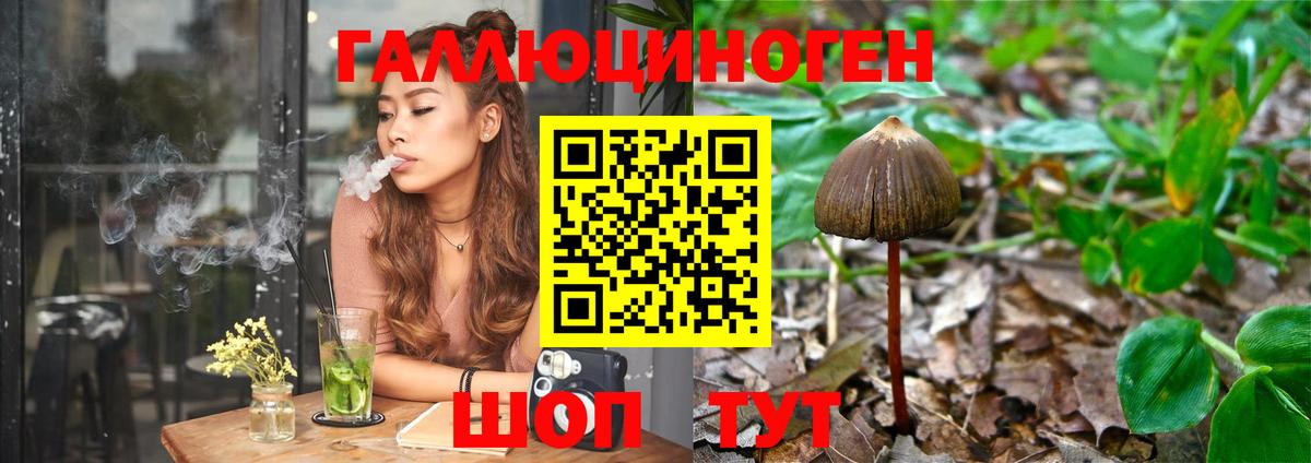 Елизово  Псилоцибиновые грибы Psilocybine cubensis  Вход с VPN  Псилоцибиновые грибы мицелий 