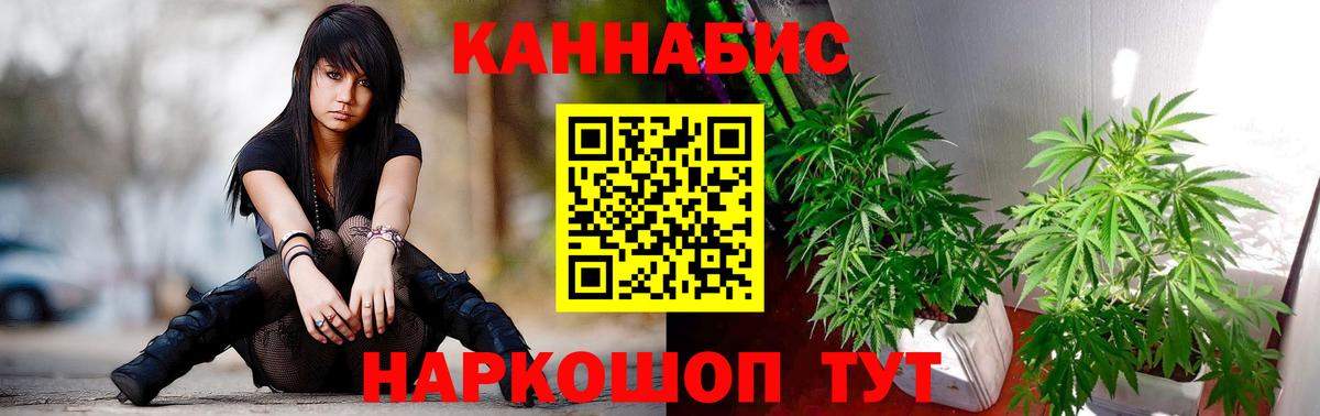 Канабис план  Каннабис OG Kush  Вход с VPN  Елизово 